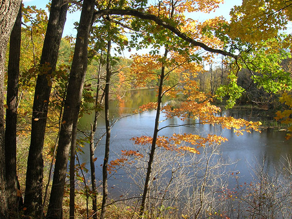 Quarry Road Multi-Use Trails