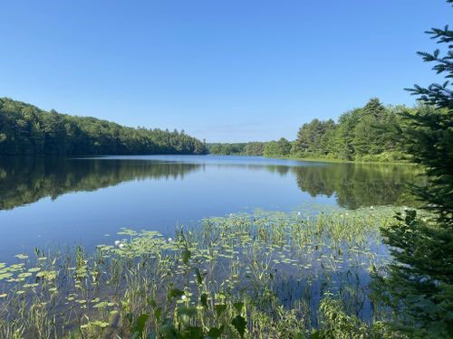 Kennebec Messalonskee Trails